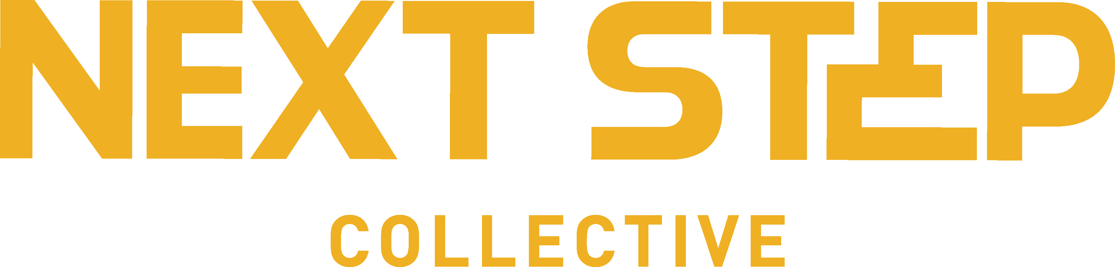 Next Step Collective